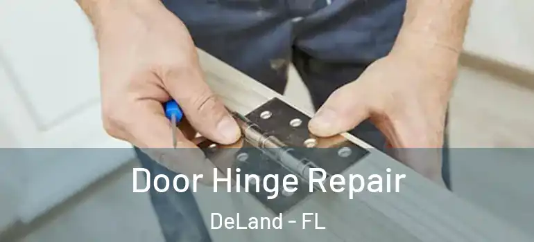 Door Hinge Repair DeLand - FL