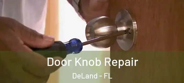  Door Knob Repair DeLand - FL