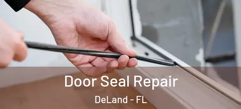  Door Seal Repair DeLand - FL