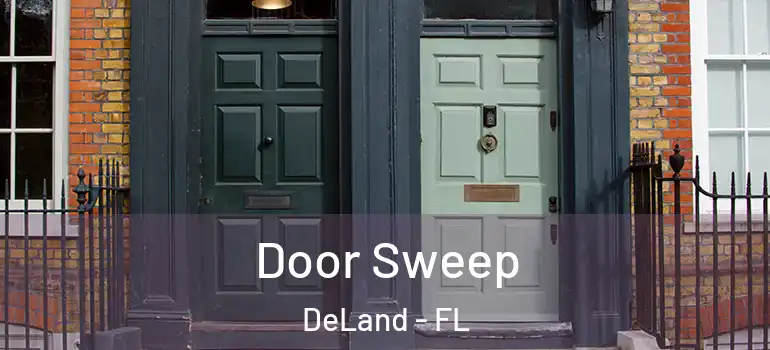  Door Sweep DeLand - FL