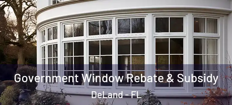  Government Window Rebate & Subsidy DeLand - FL