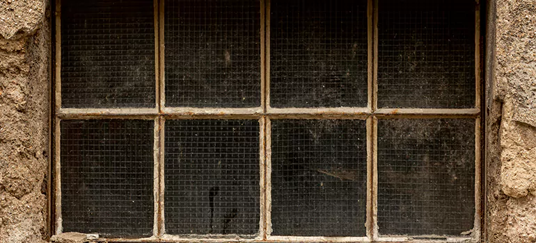 Traditional Double Front Doors in DeLand, FL