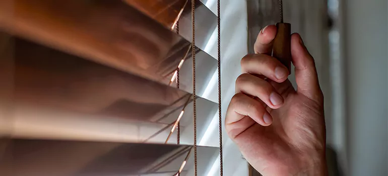 Double Roller Blinds in DeLand, FL