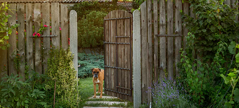 Winter Garden Garage Door Repair in DeLand,[location field=state]