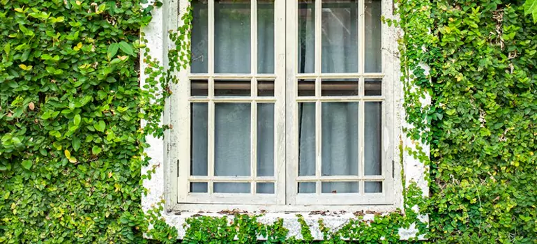 Garden Window Repair Near Me in DeLand, FL