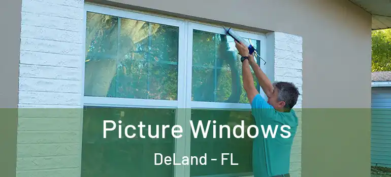  Picture Windows DeLand - FL