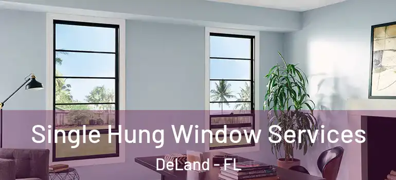  Single Hung Window Services DeLand - FL