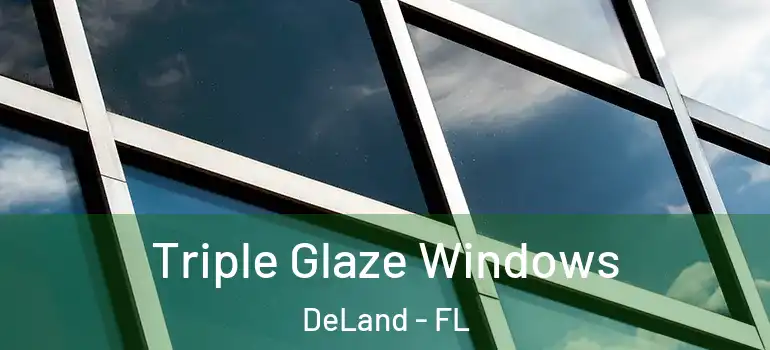  Triple Glaze Windows DeLand - FL