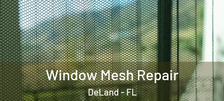  Window Mesh Repair DeLand - FL