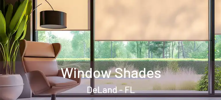  Window Shades DeLand - FL